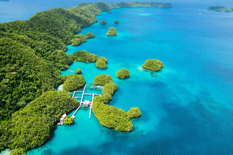 Top or Best Talent Management Agencies and Companies in Micronesia