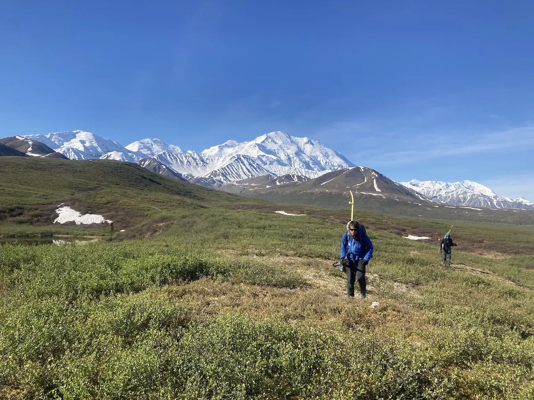 Top or Best Graphics for Streamers Agencies and Companies in Meadow Lakes, Alaska