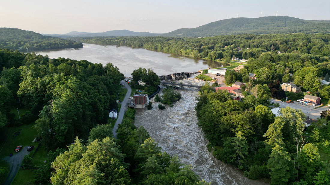 Top or Best Storyboards Agencies and Companies in Milton, Vermont