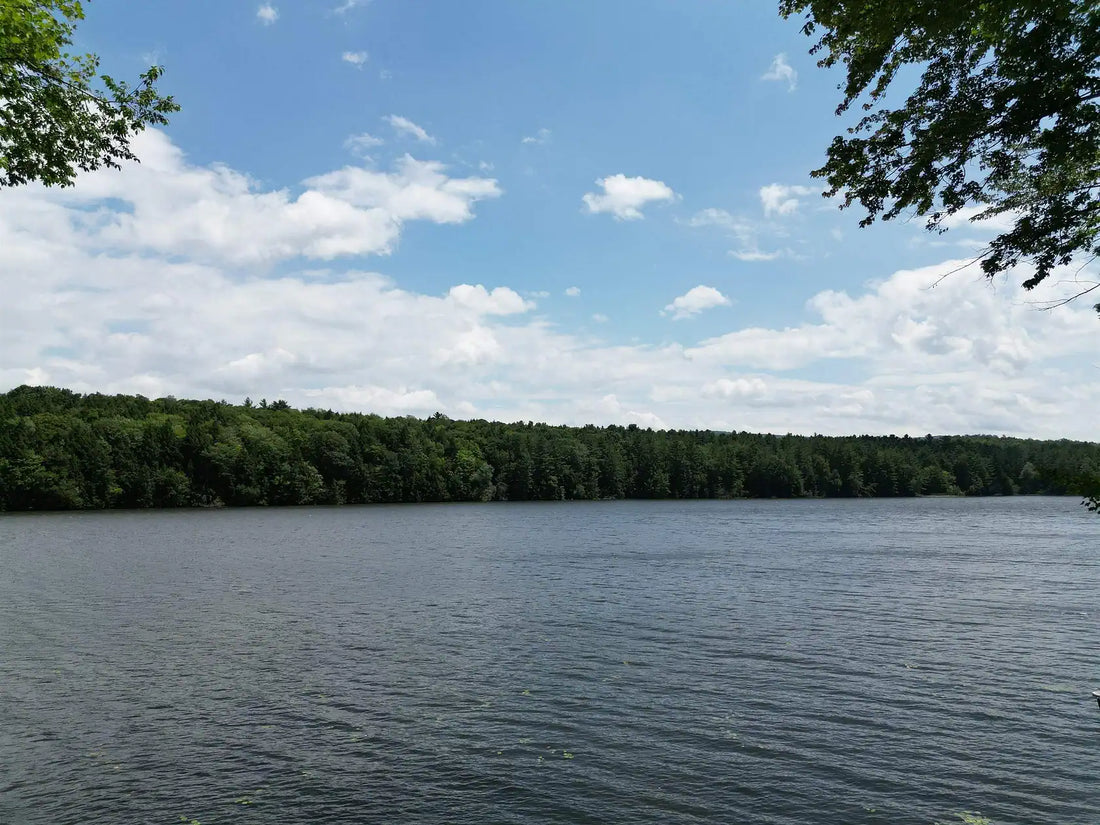 Top or Best App UI/UX Design Agencies and Companies in Milton, Vermont