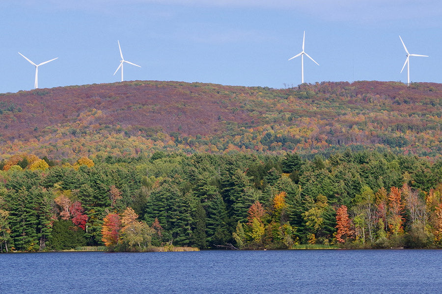 Top or Best Brand Identity Packages Agencies and Companies in Milton, Vermont