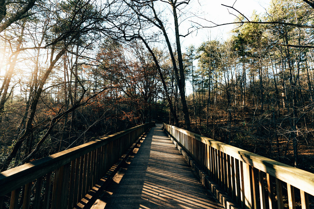 Top and Best Twitch Management Agencies and Companies in Burlington, North Carolina