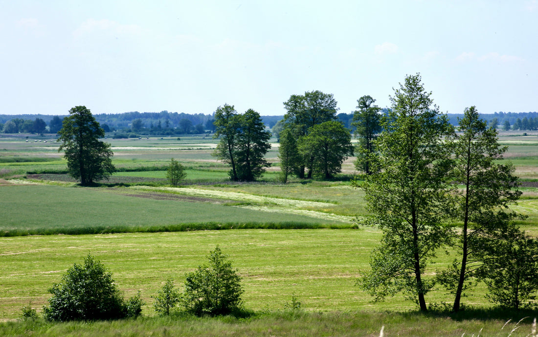 Top and Best Graphic Design Subscription Agencies and Companies in Old Bridge, New Jersey