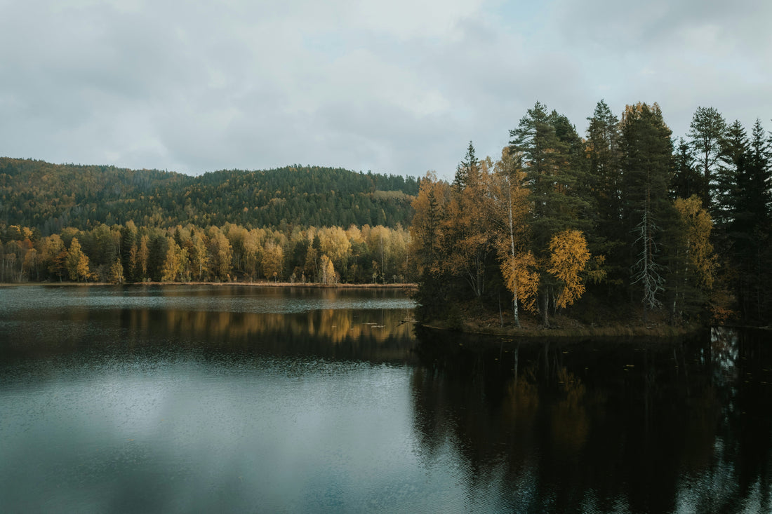 Top and Best Custom Graphics for Videos Agencies and Companies in Salem, Oregon