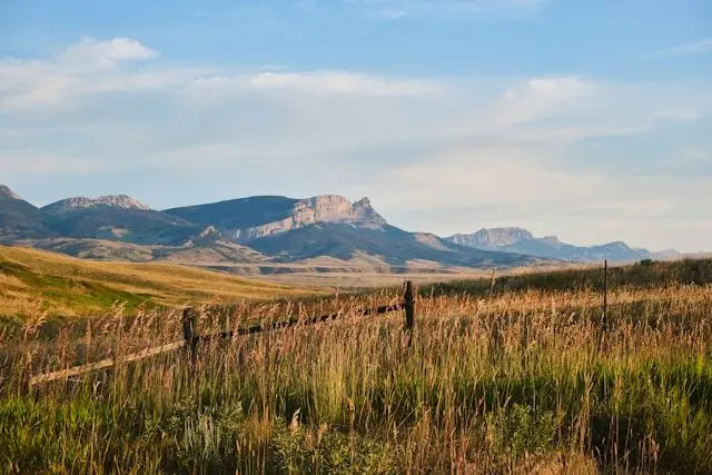 Top or Best Storyboard Agencies and Companies in Laurel, Montana