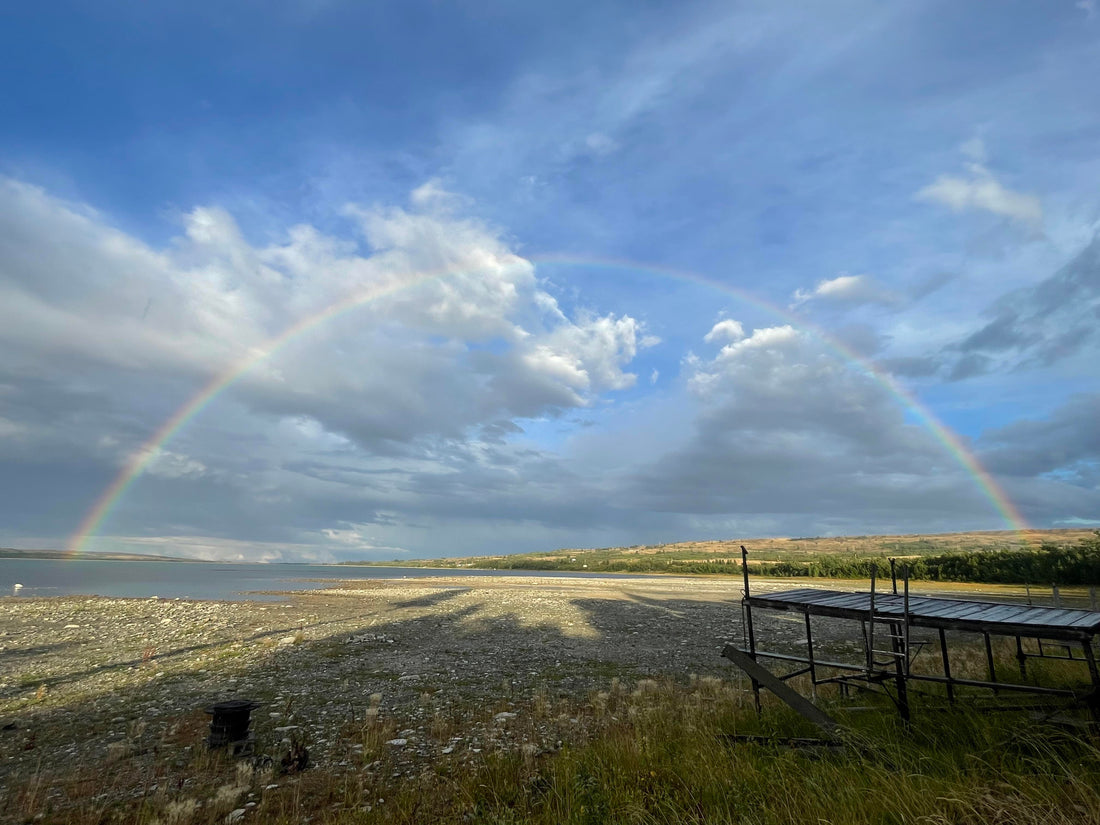 Top or Best Instagram Management Agencies and Companies in Lockwood, Montana