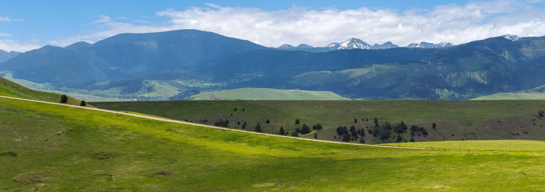 Top or Best Graphic Design Agencies in Lewistown, Montana