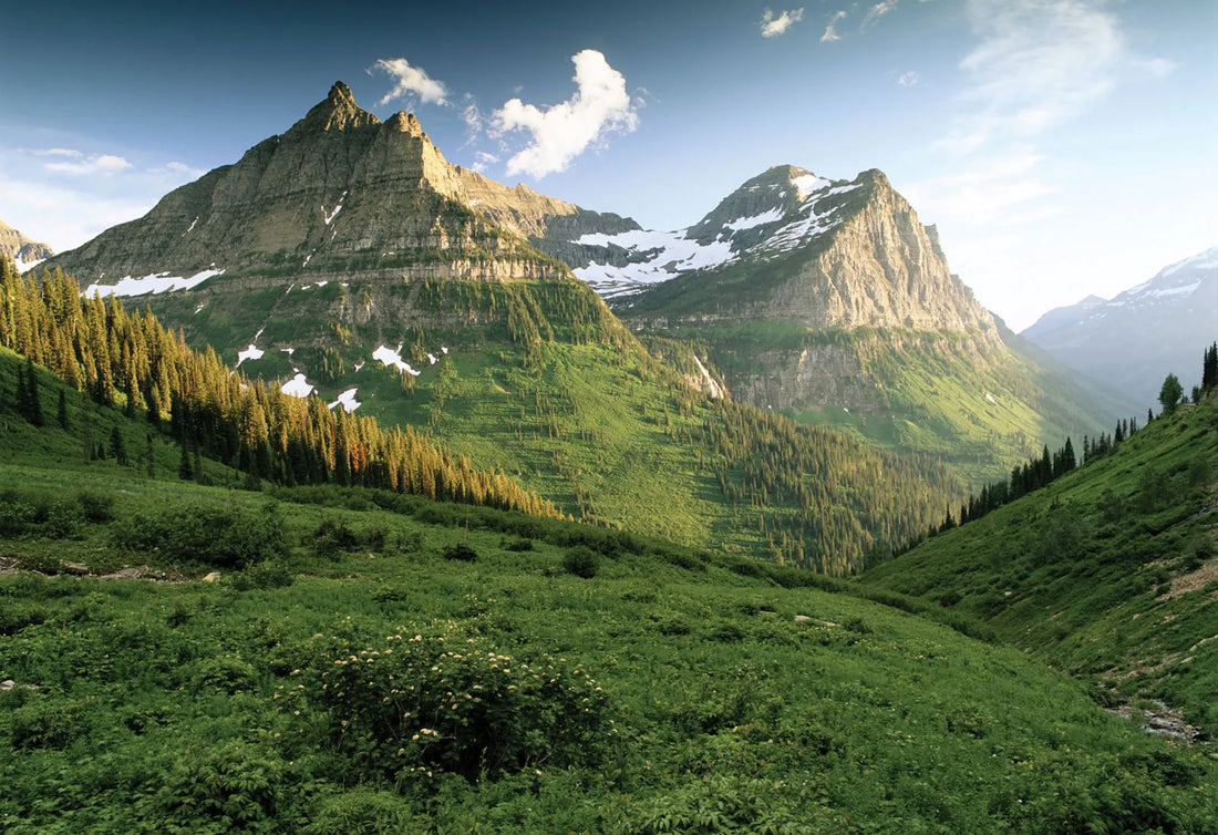 Top Photography & Photo Editing Agencies in Montana