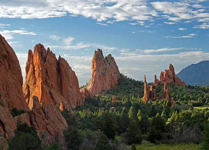 Top or Best NFT Art Agencies and Companies in Pueblo, Colorado