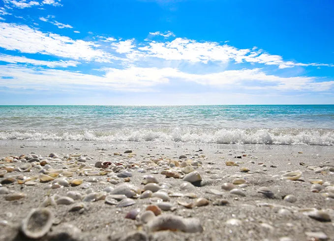 Top or Best Catalog Design Agencies and Companies in Pembroke Pines, Florida