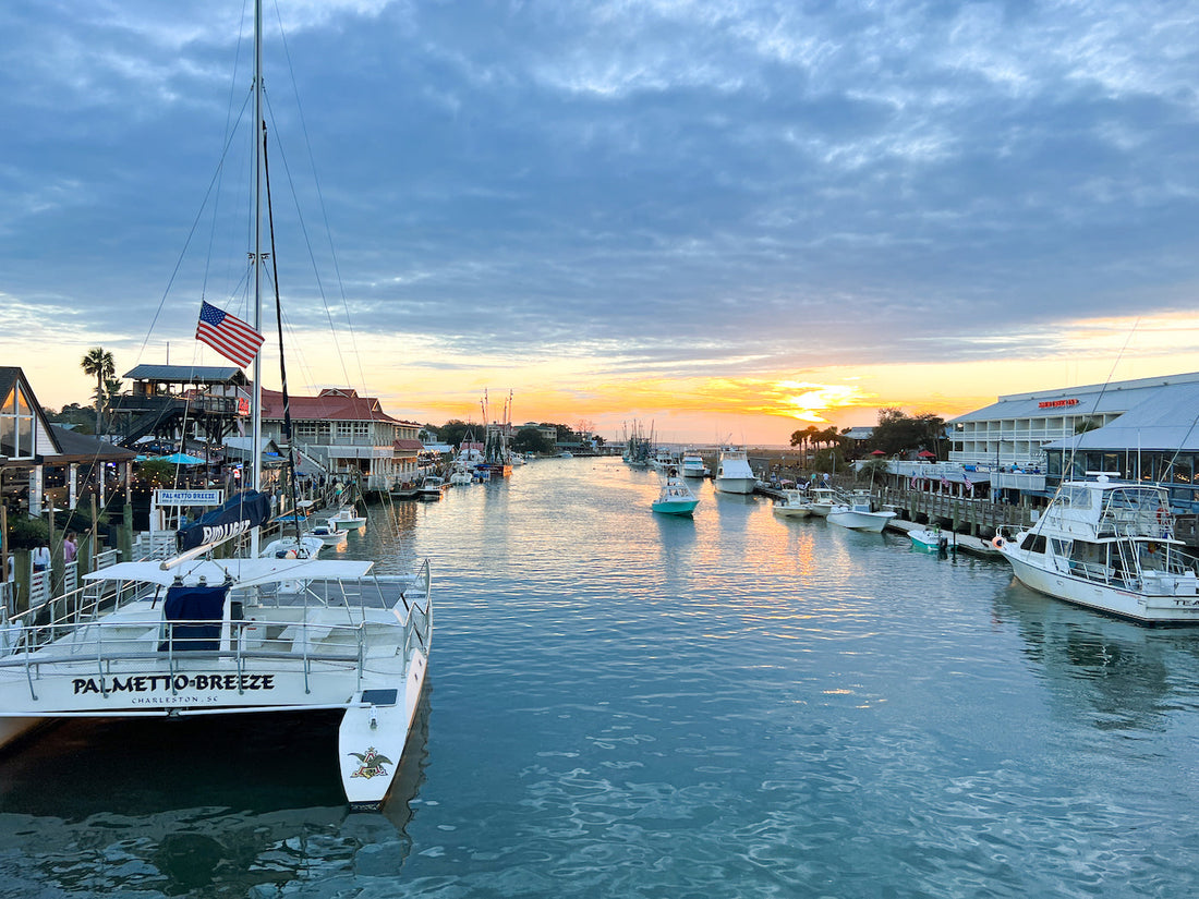 Top or Best TikTok Management Agencies and Companies in Mount Pleasant, South Carolina