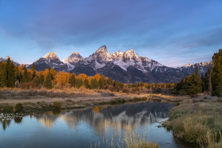 Top or Best TikTok Management Agencies and Companies in Buffalo, Wyoming