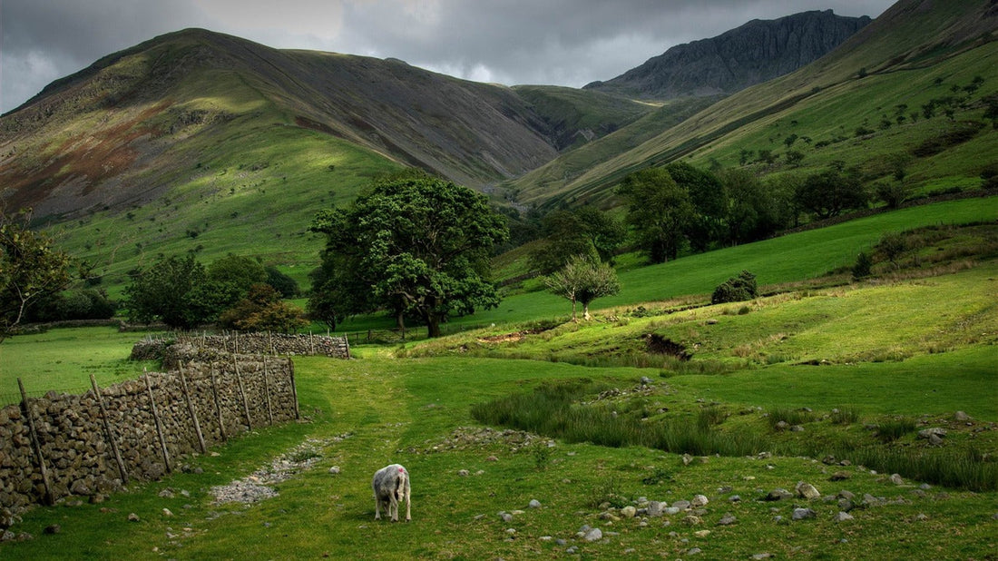 Top or Best Podcast Cover Design Agencies and Companies in Bolton, England