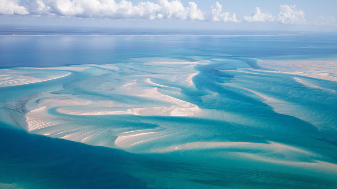 Top or Best Influencer Agency for Mozambican Brands