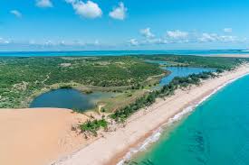 Top Website Design Agencies in Mozambique