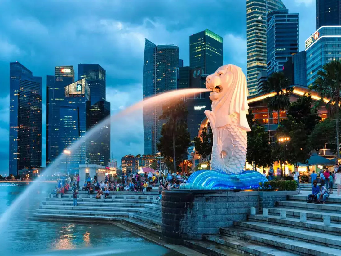 Top Menu Design Agencies in Singapore