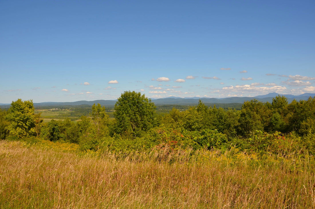 Top or Best Custom Graphics for Videos Agencies and Companies in Essex Junction, Vermont