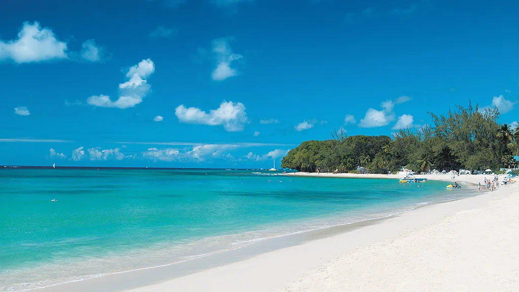 Top 5 Poster Design Agencies in Barbados
