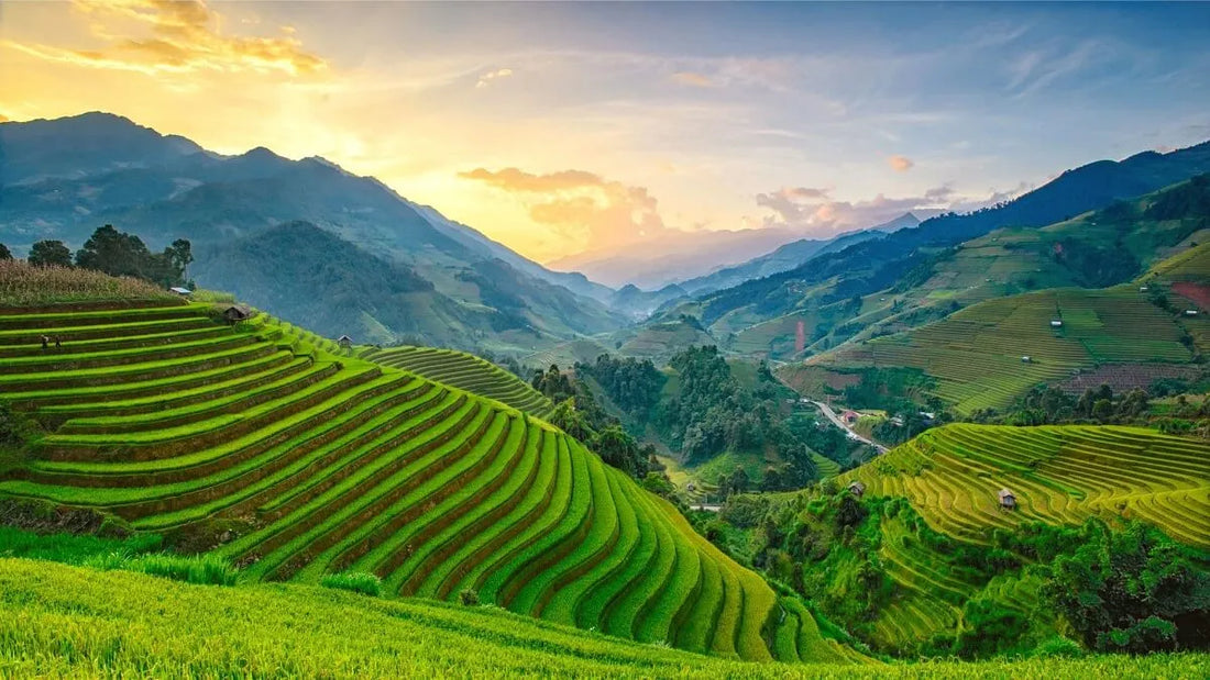 Top Infographic Design Agencies in Myanmar