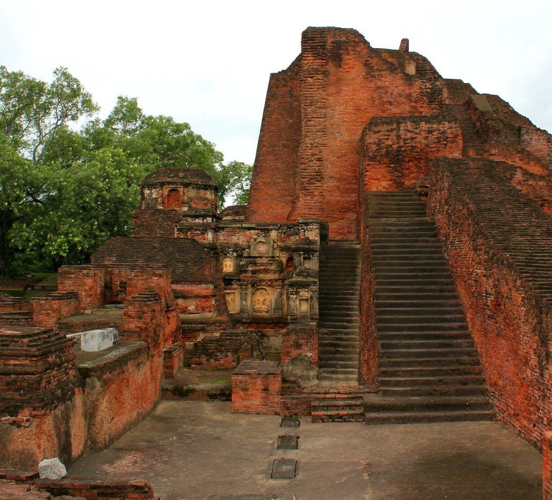 Top or Best Logo Design Agency in Patna, India