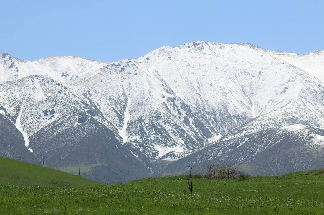 Top or Best YouTube Management Agencies and Companies in Spring Valley, Nevada