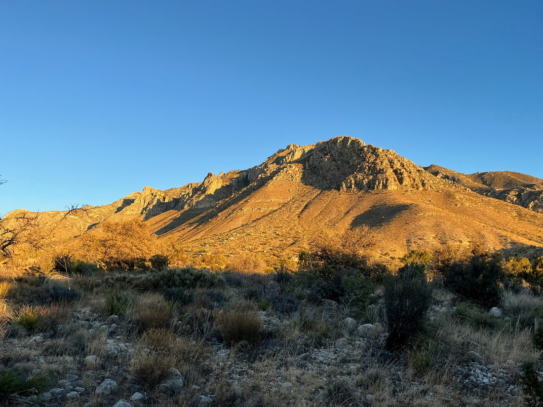 Top and Best Infographic Design Agencies and Companies in Paradise, Nevada