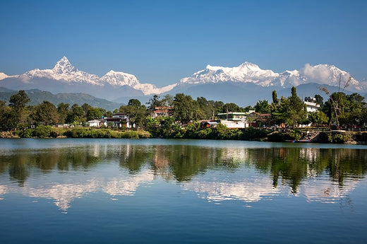 Top 5 Infographic Design Agencies in Nepal