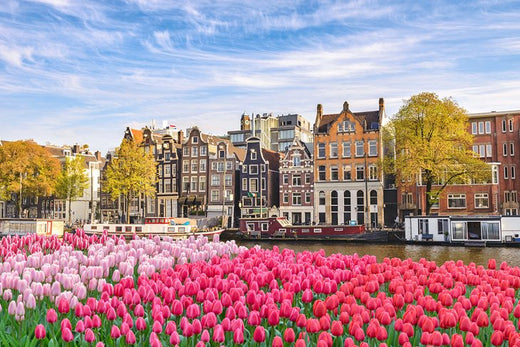 Top 5 Brand Identity Package Agencies in the Netherlands