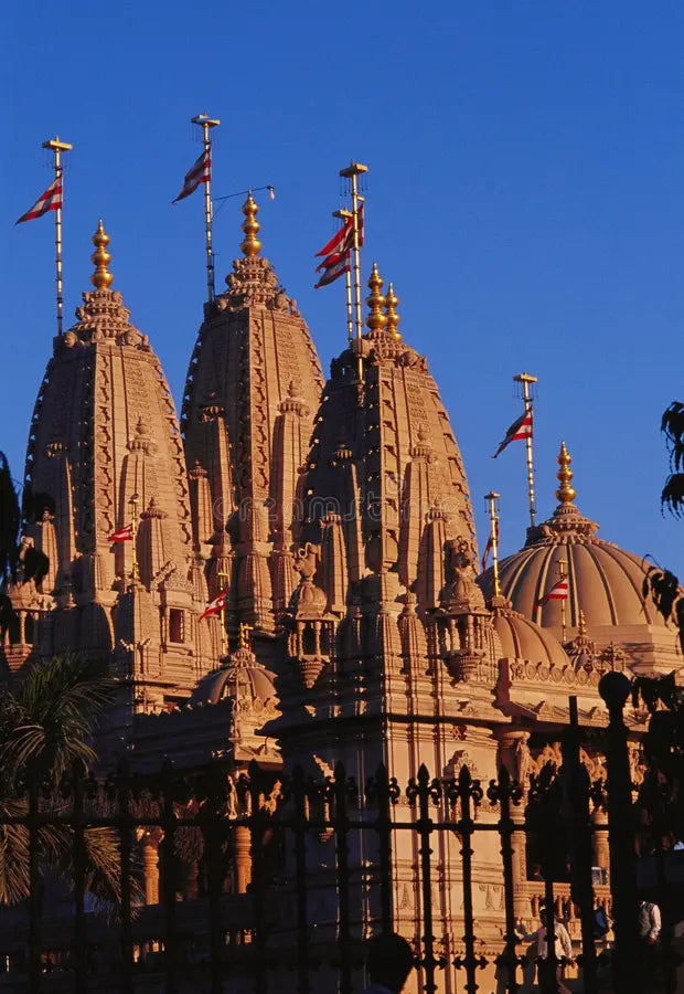 Top or Best Influencer Brand Partnership Agencies and Companies in Rajkot, India