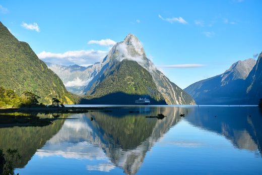 Top 5 Stationery Design Agencies in New Zealand