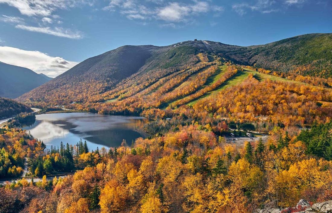 Top or Best X (Twitter) Management Agencies and Companies in Lebanon, New Hampshire