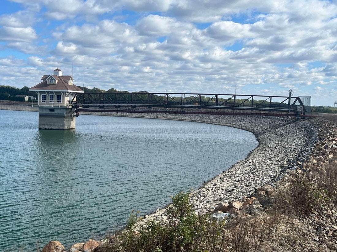 Top or Best Logo Animation Agencies and Companies in Newark, Delaware