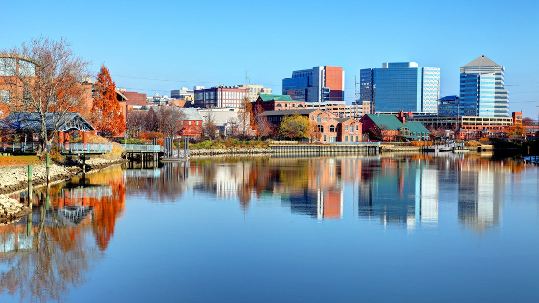 Top or Best Animation & Motion Graphics Design Agencies and Companies in Newark, Delaware