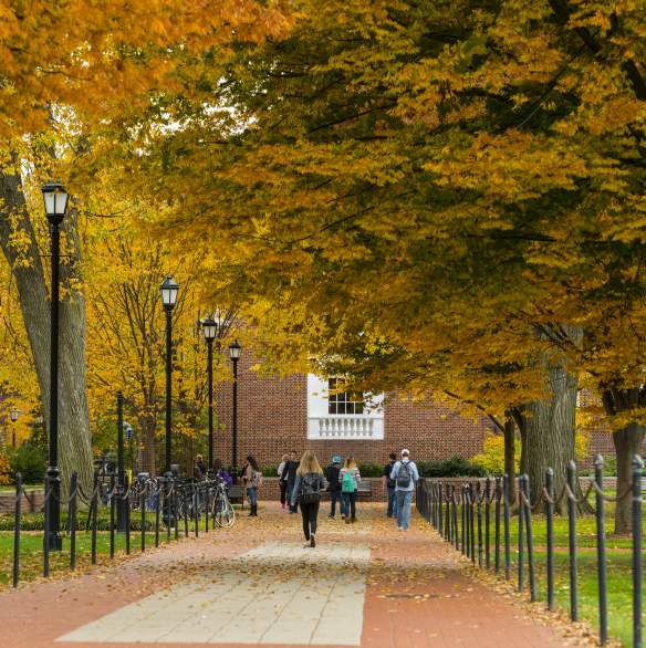 Top or Best Brand Identity Package Agencies and Companies in Newark, Delaware