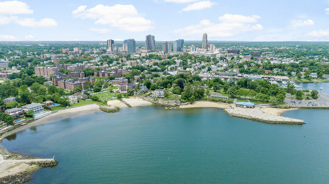 Top or Best Custom Graphics for Videos Agencies and Companies in New Rochelle, New York