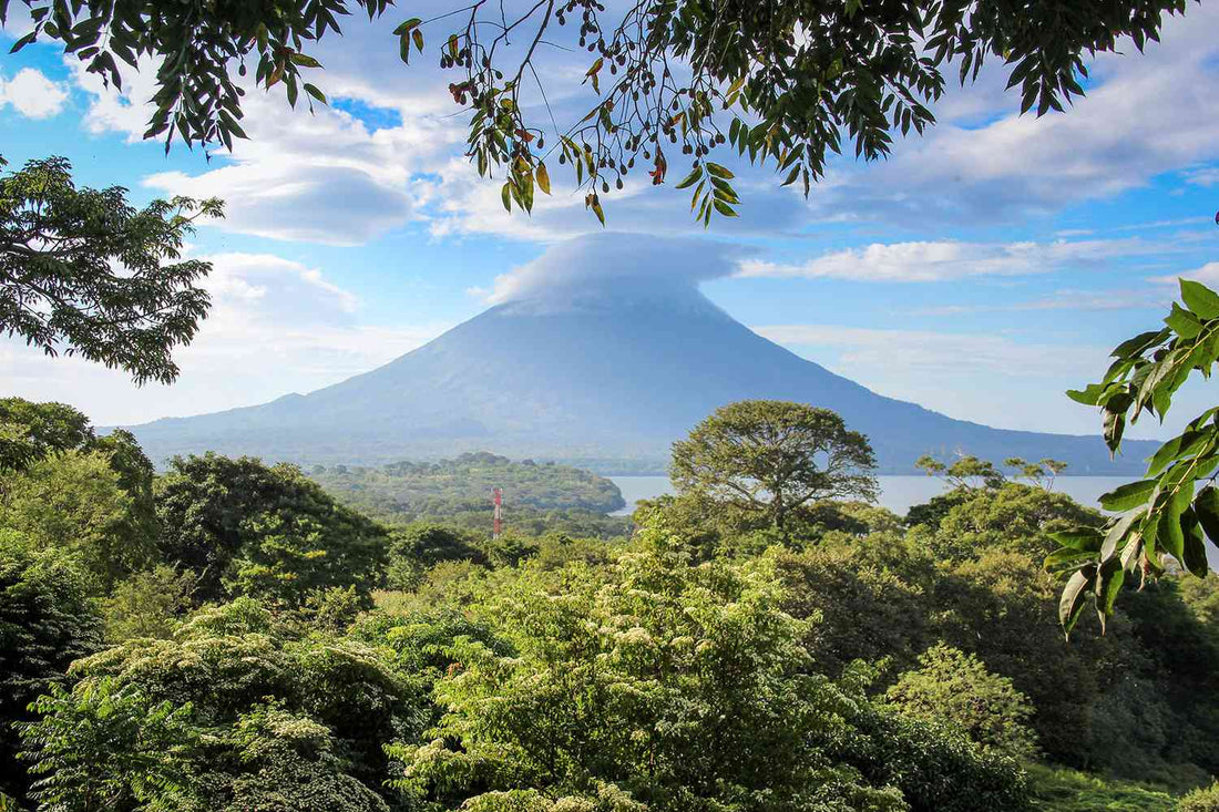 Best LinkedIn Management Companies in Nicaragua
