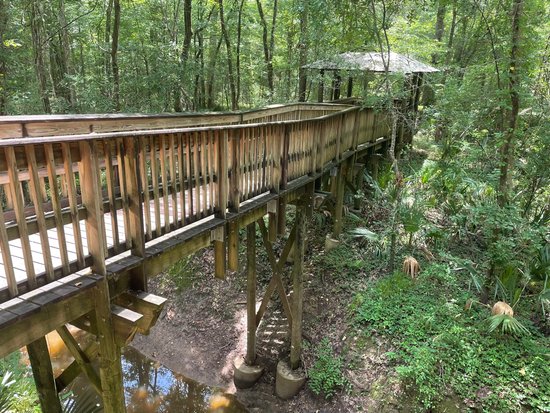 Top or Best Facebook Management Agencies and Companies in Lafayette, Louisiana