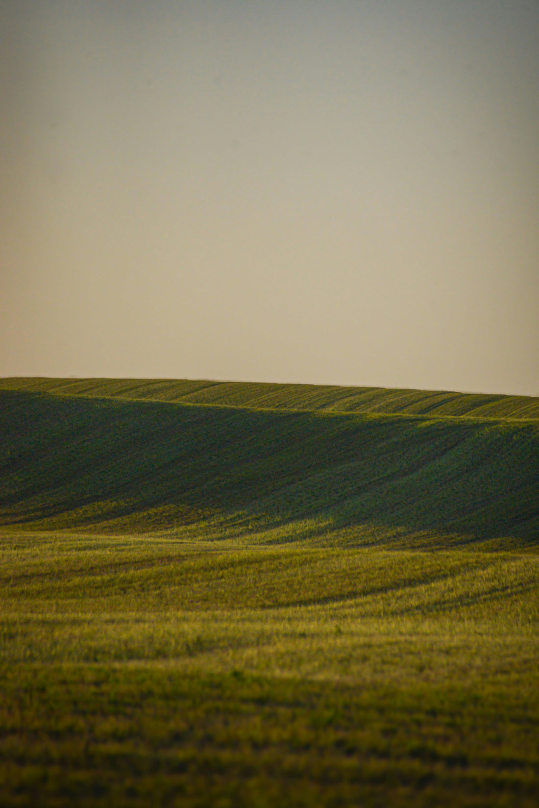 Top and Best Social Media Design Agencies and Companies in Box Elder, South Dakota