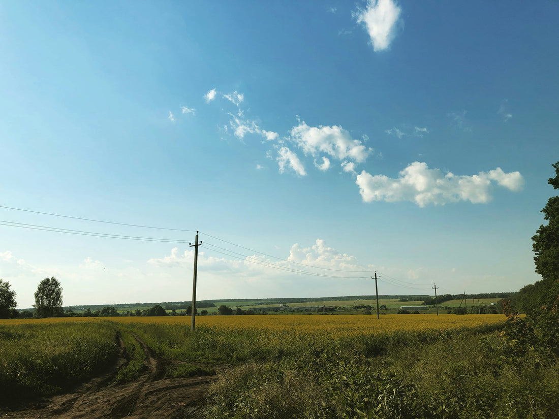 Top and Best Graphic Design Subscription Agencies and Companies in Huron, South Dakota