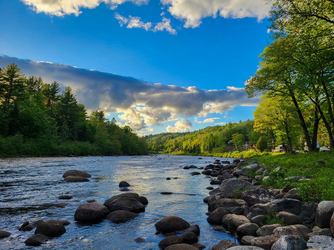 Top and Best Animation and Motion Graphics Agencies and Companies in Auburn, Maine