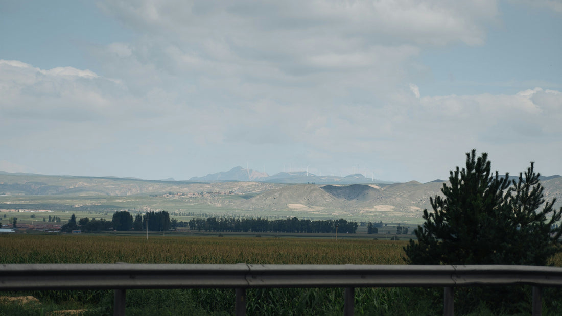 Top or Best Graphic Design Subscription Agencies and Companies in Miles City, Montana