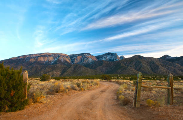 Top or Best YouTube Management Agencies and Companies in New Mexico