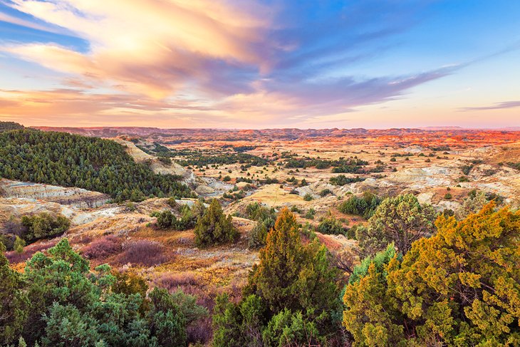 Top Social Media Management Companies in North Dakota