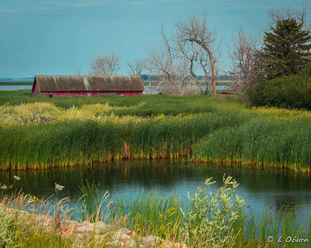Top or Best Email Campaign Design Agencies and Companies in Devils Lake, North Dakota