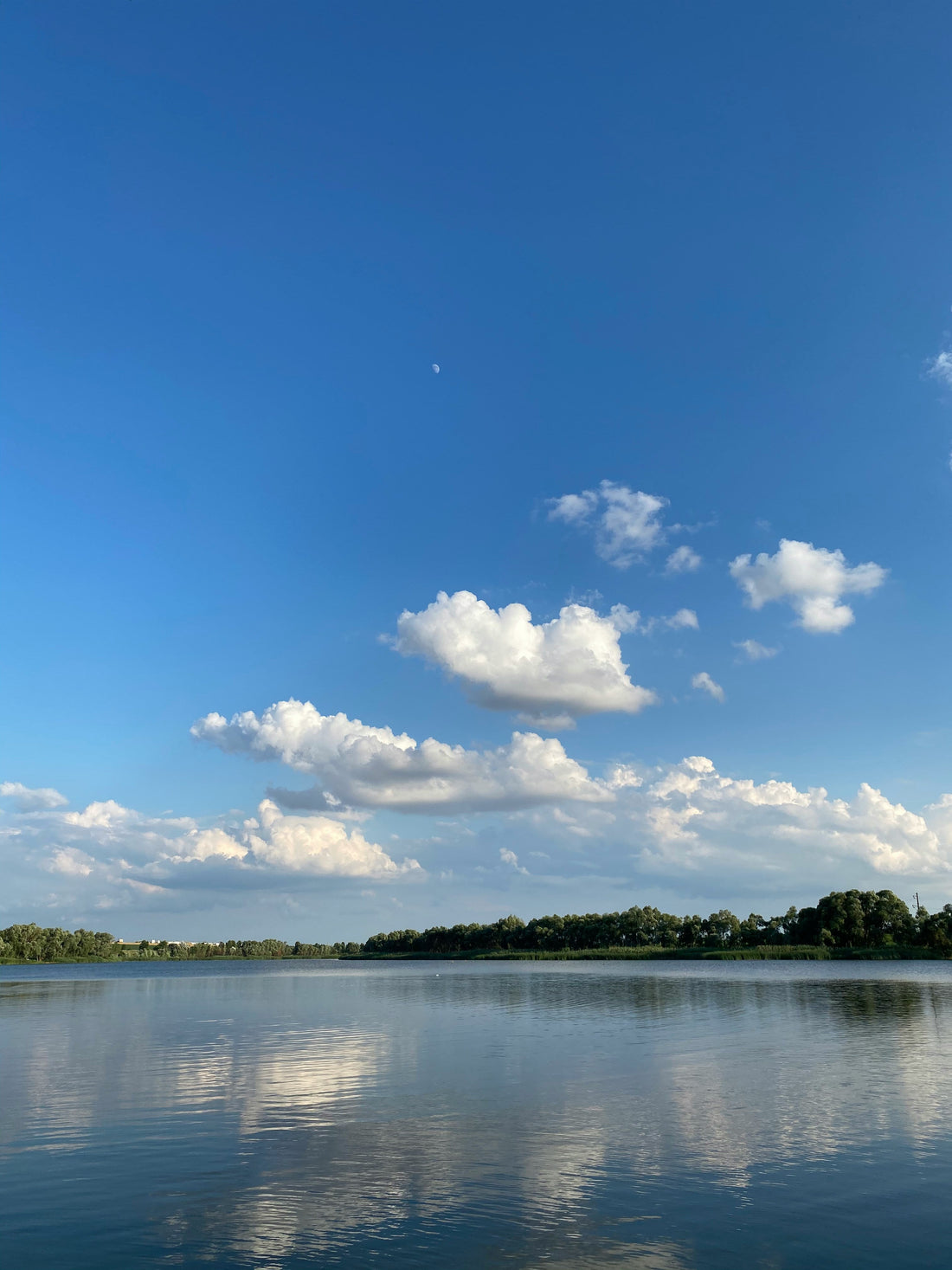 Top or Best Website Design Agencies and Companies in Horn Lake, Mississippi