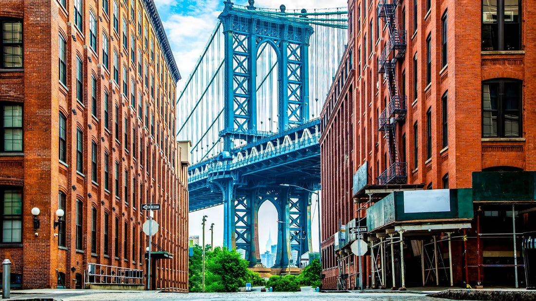 Top Direct Mail Design Agencies in New York