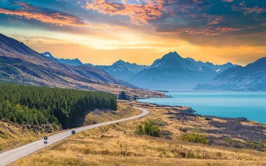 Top 5 Tattoo Design Agencies in New Zealand