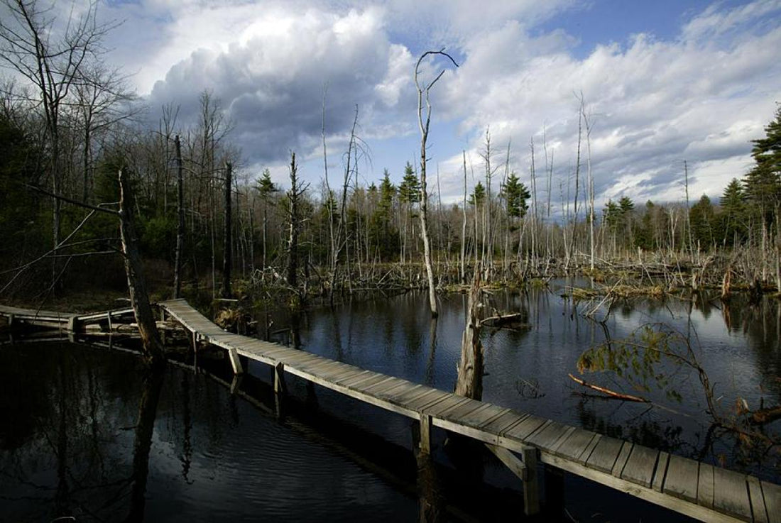 Top or Best Invitation Design Agencies and Companies in Exeter, New Hampshire