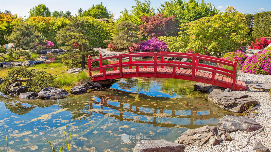 Top or Best Social Media Design Agencies and Companies in Martinsburg, West Virginia