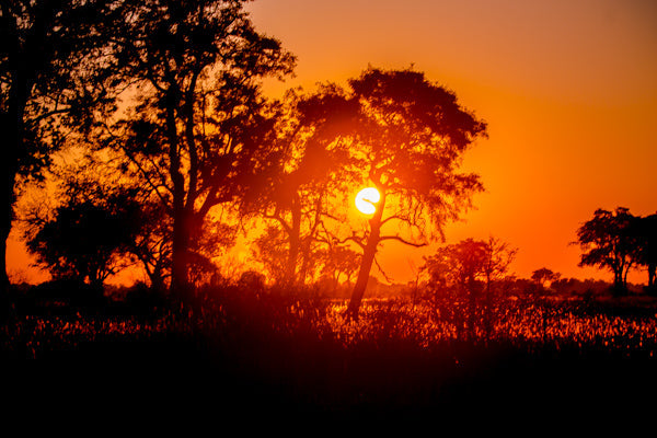 Top Banner Ads Agencies in Botswana